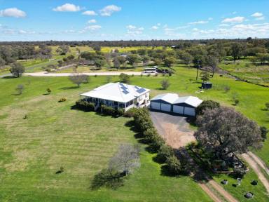 House For Sale - NSW - Moree - 2400 - ESCAPE EVERYDAY!  (Image 2)