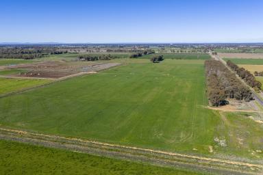 Cropping Auction - VIC - Tatura - 3616 - Tatura District Irrigation Property  (Image 2)