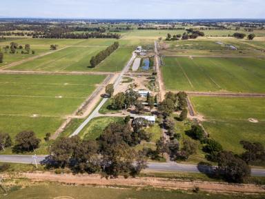 Cropping Auction - VIC - Tatura - 3616 - Tatura District Irrigation Property  (Image 2)