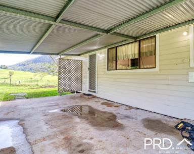 House For Lease - NSW - Kyogle - 2474 - Comfortable Country Home  (Image 2)