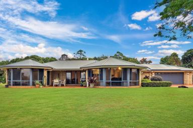 House For Sale - NSW - Kyogle - 2474 - NOW THIS ONE TICK'S ALL THE BOXES  (Image 2)