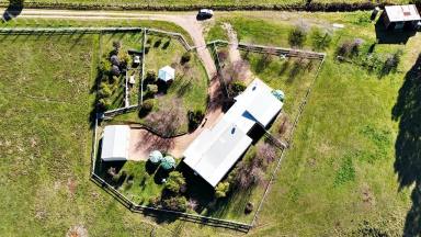 Acreage/Semi-rural For Sale - TAS - West Kentish - 7306 - 9.5 PRIVATE ACRES WITH MODERN 2 HOME LIVING OPTIONS  (Image 2)
