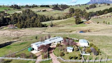 Acreage/Semi-rural For Sale - TAS - West Kentish - 7306 - 9.5 PRIVATE ACRES WITH MODERN 2 HOME LIVING OPTIONS  (Image 2)