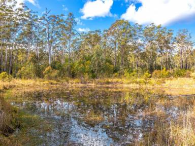 Acreage/Semi-rural For Sale - NSW - Koorainghat - 2430 - "SOUTH WIND" BEAUTIFUL AND USABLE  (Image 2)
