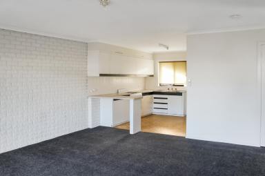 Unit For Lease - VIC - Horsham - 3400 - Neat 2 Bedroom Unit  (Image 2)