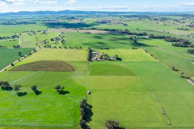 Mixed Farming For Sale - NSW - Canowindra - 2804 - 115ACRE* HIGH PRODUCTION CENTRE PIVOT IRRIGATION + 2 HOMES!  (Image 2)