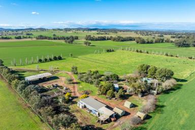 Mixed Farming For Sale - NSW - Canowindra - 2804 - 115ACRE* HIGH PRODUCTION CENTRE PIVOT IRRIGATION + 2 HOMES!  (Image 2)