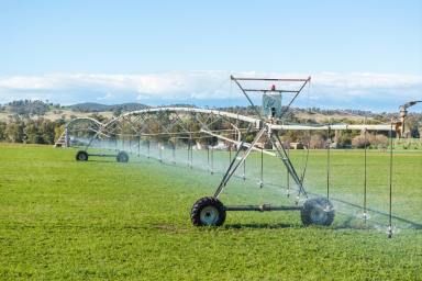Mixed Farming For Sale - NSW - Canowindra - 2804 - 115ACRE* HIGH PRODUCTION CENTRE PIVOT IRRIGATION + 2 HOMES!  (Image 2)
