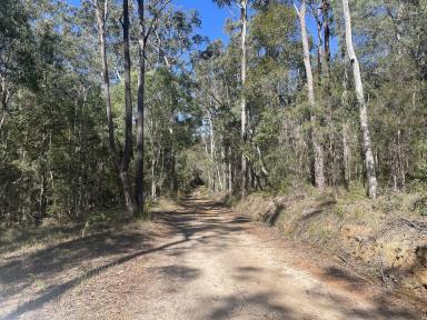 Lifestyle For Sale - NSW - New Italy - 2472 - 90.68Ha - NEW ITALY LIFESTYLE PROPERTY (Image 2)
