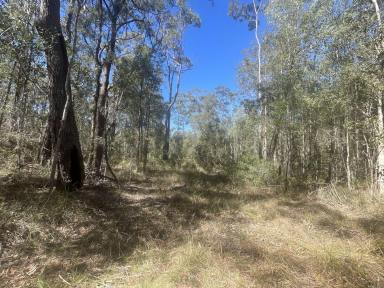 Lifestyle For Sale - NSW - New Italy - 2472 - 90.68Ha - NEW ITALY LIFESTYLE PROPERTY  (Image 2)