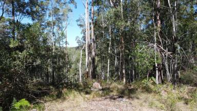 Lifestyle For Sale - NSW - New Italy - 2472 - 90.68Ha - NEW ITALY LIFESTYLE PROPERTY  (Image 2)