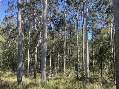 Lifestyle For Sale - NSW - New Italy - 2472 - 90.68Ha - NEW ITALY LIFESTYLE PROPERTY  (Image 2)