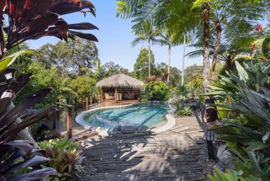 House For Sale - QLD - Doonan - 4562 - Grand Queenslander Retreat with Acreage Privacy  (Image 2)