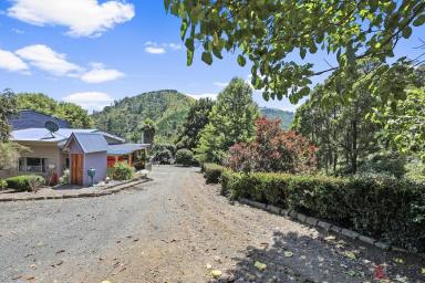 Farmlet For Sale - VIC - Grand Ridge - 3870 - PRIVATE OFF GRID LIFESTYLE RETREAT  (Image 2)