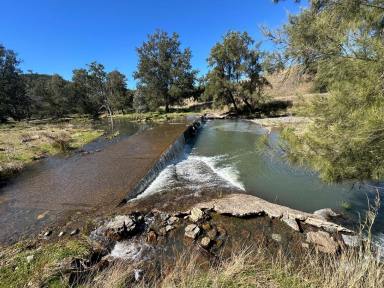 Mixed Farming For Sale - NSW - Halls Creek - 2346 - 'Roscommon' First Time Offered In Over 100 Years  (Image 2)