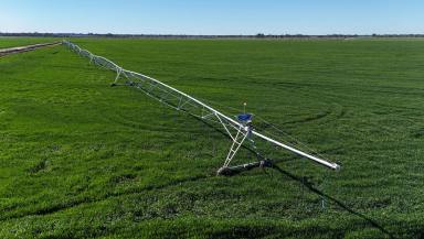 Cropping For Sale - VIC - Myall - 3579 - Highly Efficient Irrigated Cropping  (Image 2)