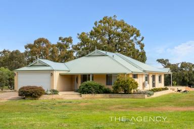 Acreage/Semi-rural For Sale - WA - Gidgegannup - 6083 - "Equestrian Delight"  (Image 2)