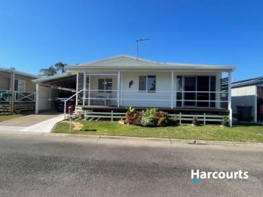 House For Sale - QLD - Eli Waters - 4655 - Over 50's Lifestyle Village - Own Your Own Home!  (Image 2)