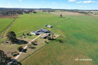 Mixed Farming For Sale - NSW - Inverell - 2360 - GLENCAIRN  (Image 2)