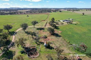 Mixed Farming For Sale - NSW - Inverell - 2360 - GLENCAIRN  (Image 2)