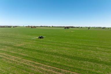 Cropping For Sale - NSW - Milbrulong - 2656 - Highly regarded mixed farming operation  (Image 2)