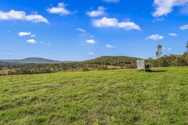 Lifestyle For Sale - NSW - Nabiac - 2312 - 'Bunagunoo Too' - 53.65ha (133ac) Farmland with Endless Potential  (Image 2)