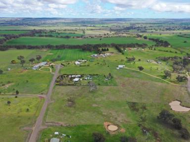 Residential Block For Sale - NSW - Young - 2594 - Charming Lifestyle Block in Murringo Awaits!  (Image 2)