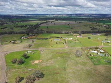 Residential Block For Sale - NSW - Young - 2594 - Charming Lifestyle Block in Murringo Awaits!  (Image 2)