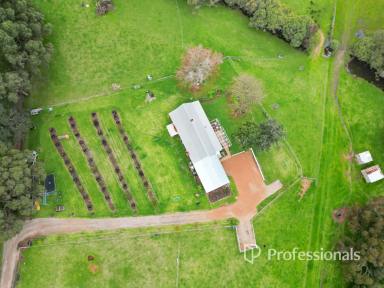 House For Sale - WA - Burekup - 6227 - Rustic Charm Meets Endless Potential in Burekup  (Image 2)