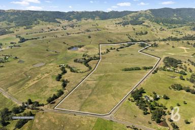 Other (Rural) For Sale - NSW - Glendon Brook - 2330 - A Rare Rural Gem in a Beautiful Valley  (Image 2)