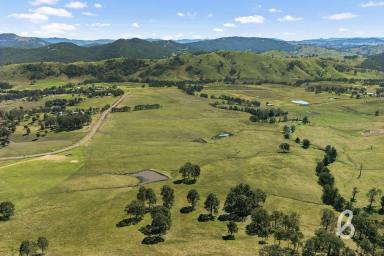 Other (Rural) For Sale - NSW - Glendon Brook - 2330 - A Rare Rural Gem in a Beautiful Valley  (Image 2)