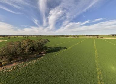 Mixed Farming For Sale - SA - Keith - 5267 - Highly productive, Prime location, Excellent lucerne pastures  with added security of Irrigation  (Image 2)
