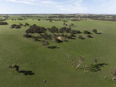 Mixed Farming For Sale - SA - Keith - 5267 - Highly productive, Prime location, Excellent lucerne pastures  with added security of Irrigation  (Image 2)