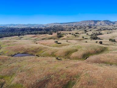 Other (Rural) For Sale - NSW - Tumut - 2720 - "Paddles"  (Image 2)
