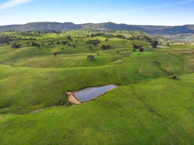 Other (Rural) For Sale - NSW - Tumut - 2720 - "Paddles"  (Image 2)