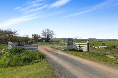 Other (Rural) For Sale - NSW - Tumut - 2720 - "Paddles"  (Image 2)
