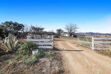 Other (Rural) For Sale - NSW - Tumut - 2720 - "Paddles"  (Image 2)