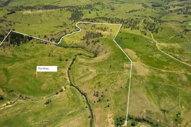 Mixed Farming For Sale - NSW - Golspie - 2580 - "Clovelly Farms" at Golspie
Exciting opportunity exists to acquire your choice of four outstanding small farms!
Farm prices from $995,000  (Image 2)