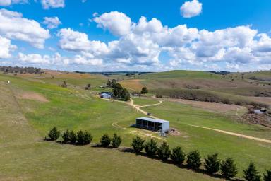 Mixed Farming Auction - NSW - Golspie - 2580 - "Golspie", Production ready with outstanding water!  (Image 2)