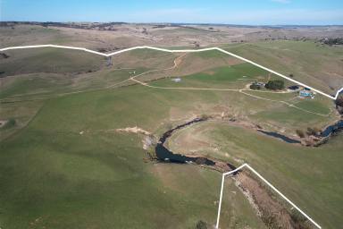 Mixed Farming For Sale - NSW - Golspie - 2580 - "Clovelly Farms" at Golspie

Exciting opportunity exists to acquire your choice of four outstanding small farms!

Farm prices from $995,000  (Image 2)