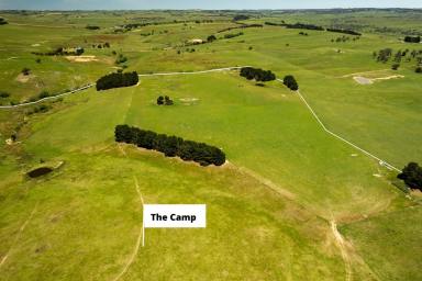 Mixed Farming For Sale - NSW - Golspie - 2580 - The Camp at Golspie  (Image 2)