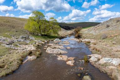 Mixed Farming For Sale - NSW - Golspie - 2580 - "Golspie", Production ready with outstanding water!  (Image 2)