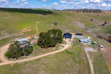 Mixed Farming For Sale - NSW - Golspie - 2580 - "Clovelly Farms" at Golspie

Exciting opportunity exists to acquire your choice of four outstanding small farms!

Farm prices from $995,000  (Image 2)