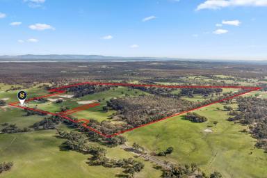 Livestock For Sale - VIC - Talbot - 3371 - PRODUCTIVE TIGHTLY HELD VERSATILE AREA WITH THE SAME FAMILY OWNERSHIP FOR 147 YEARS  (Image 2)
