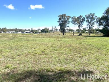 Residential Block Sold - NSW - Ashford - 2361 - SOLD BY LJ HOOKER INVERELL  (Image 2)