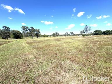Residential Block Sold - NSW - Ashford - 2361 - SOLD BY LJ HOOKER INVERELL  (Image 2)