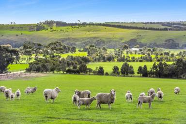Lifestyle For Sale - VIC - Russells Bridge - 3331 - Rare Moorabool Valley Vacant Holding  (Image 2)