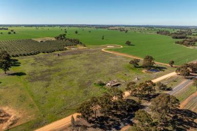 Residential Block Auction - NSW - Milbrulong - 2656 - Pease, Space and Possibility!  (Image 2)