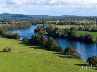 Mixed Farming Auction - NSW - East Seaham - 2324 - Field of dreams  (Image 2)