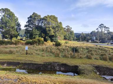 Residential Block Auction - TAS - Zeehan - 7469 - Auction  (Image 2)